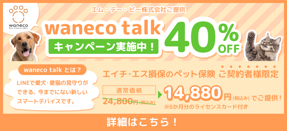 wanecotalkキャンペーン