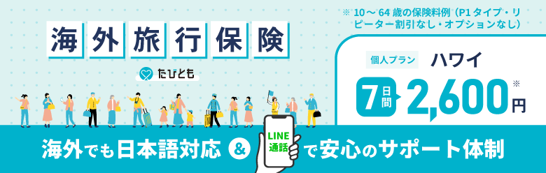 海外旅行保険たびとも