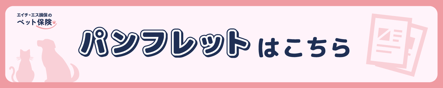 パンフレット