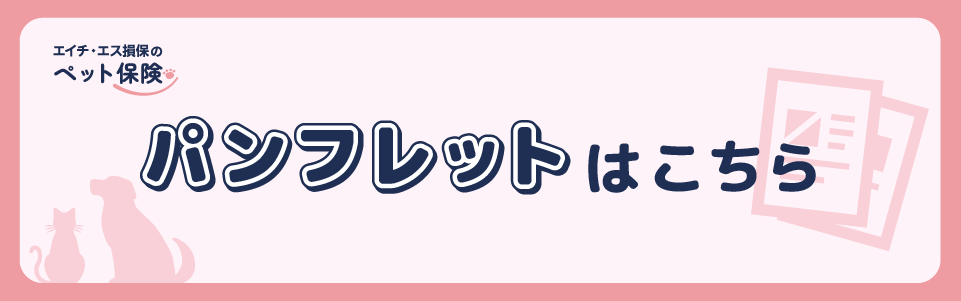 パンフレット