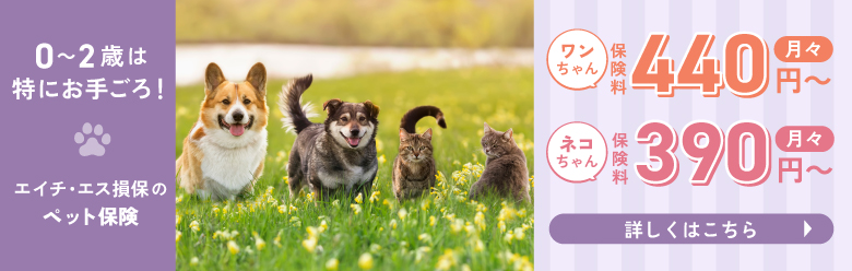 エイチ・エス損保のペット保険