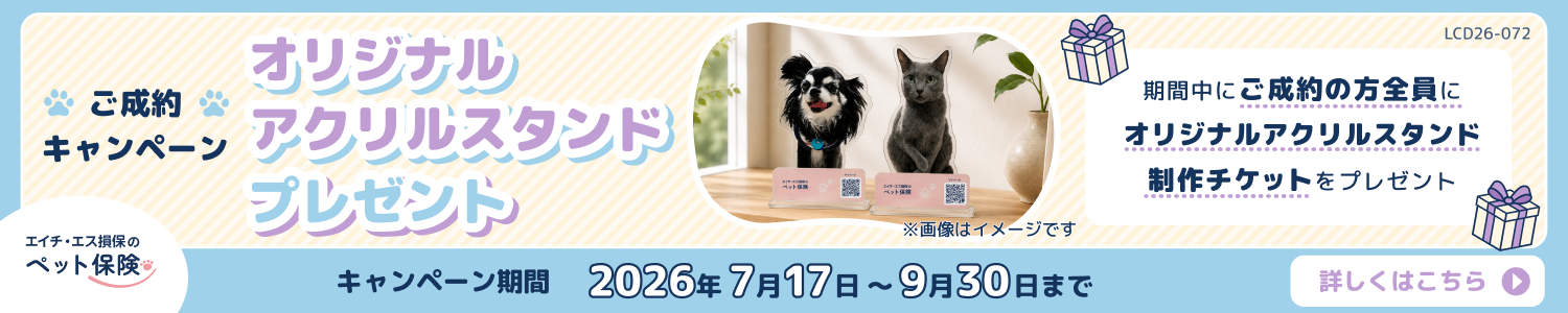 成約キャンペーン