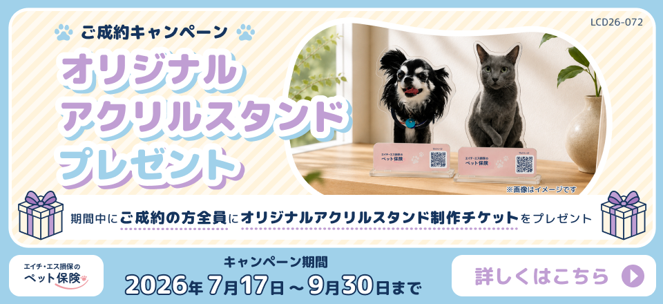 成約キャンペーン