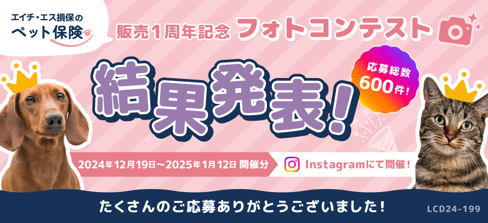 フォトコンテスト結果