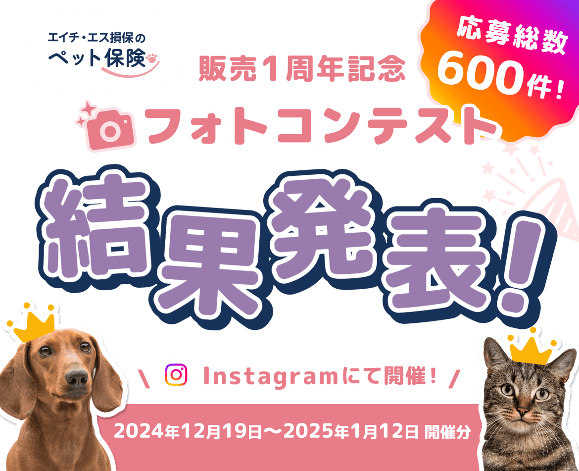 エイチ・エス損保のペット保険販売1周年記念フォトコンテスト結果発表！