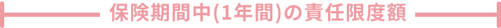 保険期間中(1年間)の責任限度額