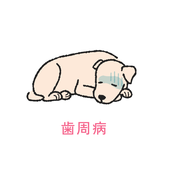 歯周病