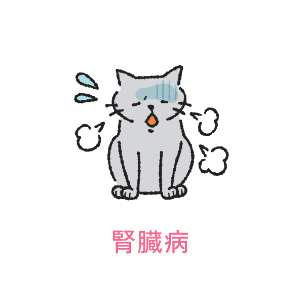 腎臓病