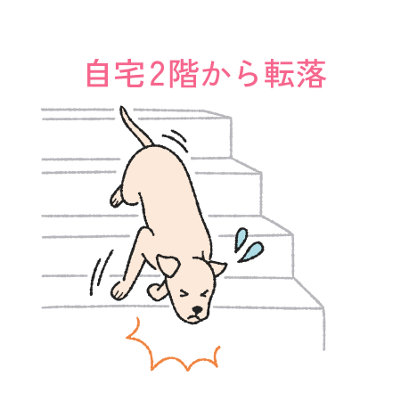 自宅2階から転落