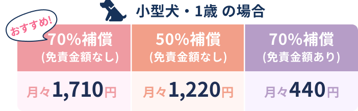 小型犬・1歳の場合