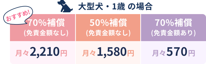 大型犬・1歳の場合