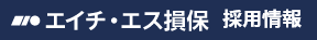 エイチ・エス損保 採用情報