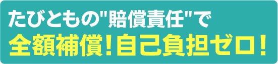 たびともの”賠償責任”で全額補償！自己負担ゼロ！