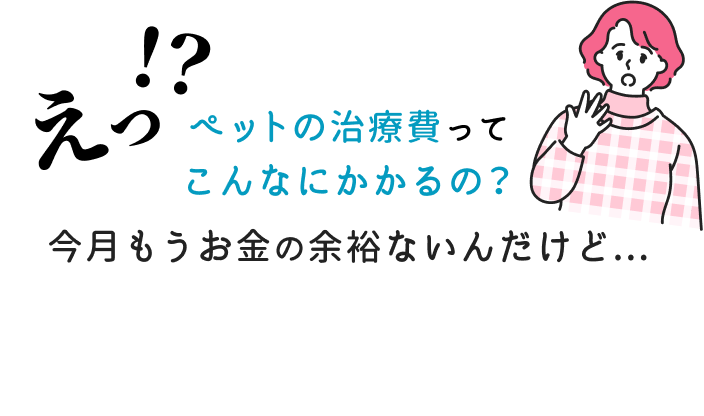 えっ!?ペットの治療費ってこんなにかかるの?今月もうお金の余裕ないんだけど…